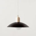 Mid-Century Pendant Lamp (Customizable in 20 Designer Colors)