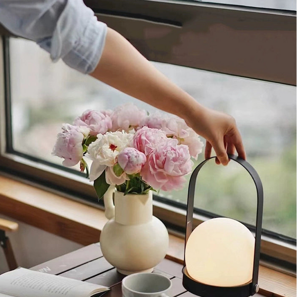 Portable 360° Lantern Mood Lamp